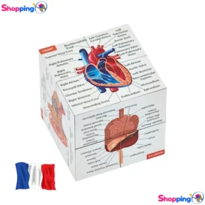 Cube d'Anatomie Humaine Interactif, Découvrez le corps humain de manière ludique et captivante - Shopping'O - photo 1